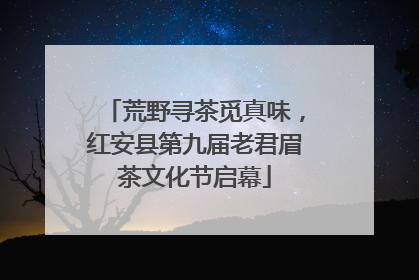 荒野寻茶觅真味，红安县第九届老君眉茶文化节启幕