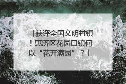 获评全国文明村镇！惠济区花园口镇何以“花开满园”？