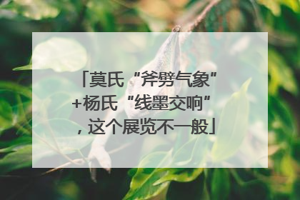 莫氏“斧劈气象”+杨氏“线墨交响”，这个展览不一般