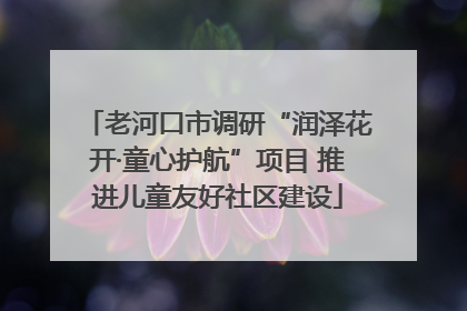 老河口市调研“润泽花开·童心护航”项目 推进儿童友好社区建设