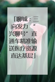 聊城：三向发力 “兴聊号”直通车精准输送医疗资源直达基层