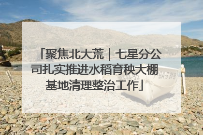 聚焦北大荒｜七星分公司扎实推进水稻育秧大棚基地清理整治工作