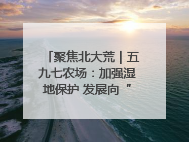 聚焦北大荒｜五九七农场：加强湿地保护 发展向“绿”而行