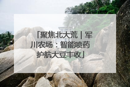 聚焦北大荒｜军川农场：智能喷药护航大豆丰收