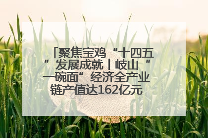 聚焦宝鸡“十四五”发展成就丨岐山“一碗面”经济全产业链产值达162亿元 入选全国典型县