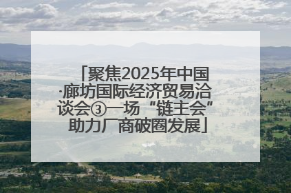 聚焦2025年中国·廊坊国际经济贸易洽谈会③一场“链主会” 助力厂商破圈发展