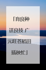 育良种 送良技 广元旺苍稻田插秧忙