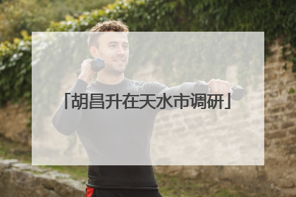 胡昌升在天水市调研