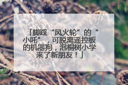 脚踩“风火轮”的“小吒”，可脱离遥控板的机器狗，泡桐树小学来了新朋友！