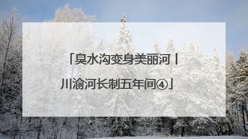 臭水沟变身美丽河丨川渝河长制五年间④