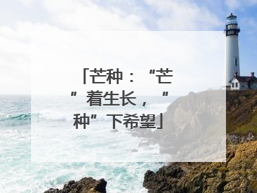 芒种：“芒”着生长，“种”下希望