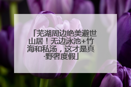 芜湖周边绝美避世山居！无边泳池+竹海和私汤，这才是真·野奢度假