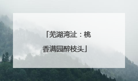 芜湖湾沚：桃香满园醉枝头
