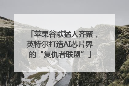 苹果谷歌猛人齐聚，英特尔打造AI芯片界的“复仇者联盟”