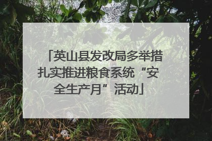 英山县发改局多举措扎实推进粮食系统“安全生产月”活动