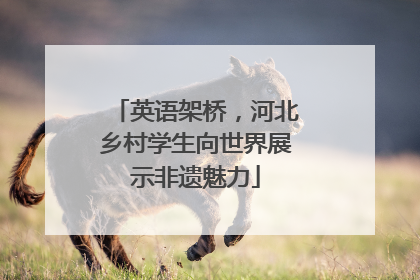 英语架桥，河北乡村学生向世界展示非遗魅力