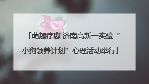 萌趣疗愈 济南高新一实验“小狗领养计划”心理活动举行