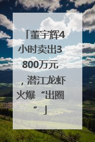 董宇辉4小时卖出3800万元，潜江龙虾火爆“出圈”