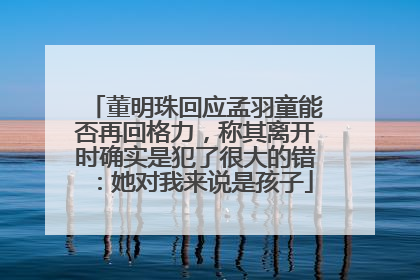 董明珠回应孟羽童能否再回格力，称其离开时确实是犯了很大的错：她对我来说是孩子