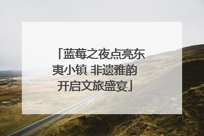 蓝莓之夜点亮东夷小镇 非遗雅韵开启文旅盛宴