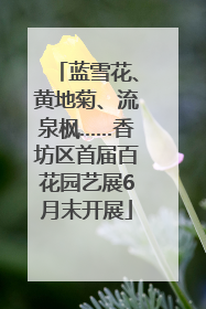 蓝雪花、黄地菊、流泉枫……香坊区首届百花园艺展6月末开展