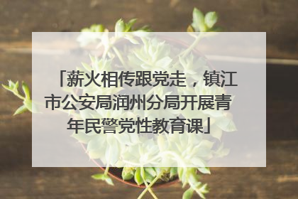 薪火相传跟党走，镇江市公安局润州分局开展青年民警党性教育课