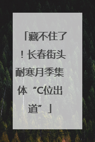 藏不住了！长春街头耐寒月季集体“C位出道”