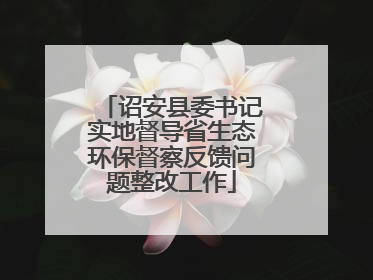 诏安县委书记实地督导省生态环保督察反馈问题整改工作