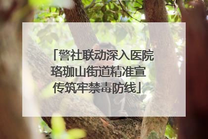 警社联动深入医院 珞珈山街道精准宣传筑牢禁毒防线