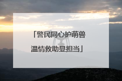 警民同心护萌兽 温情救助显担当
