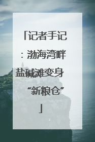 记者手记：渤海湾畔盐碱滩变身“新粮仓”