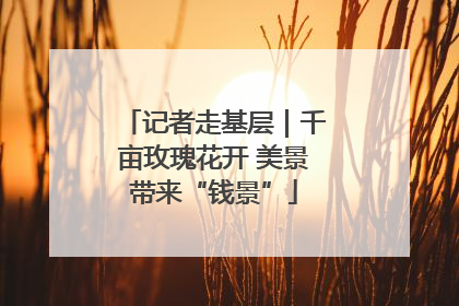 记者走基层｜千亩玫瑰花开 美景带来“钱景”