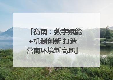 衡南：数字赋能+机制创新 打造营商环境新高地