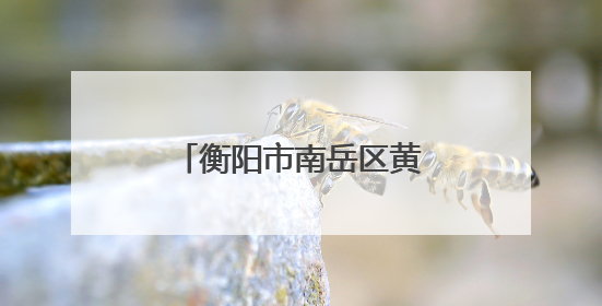 衡阳市南岳区黄竹小学：家校合力护航毕业季