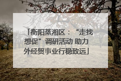 衡阳蒸湘区：“走找想促”调研活动 助力外经贸事业行稳致远