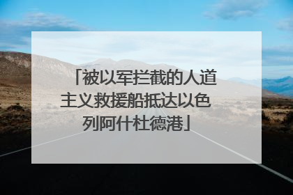 被以军拦截的人道主义救援船抵达以色列阿什杜德港