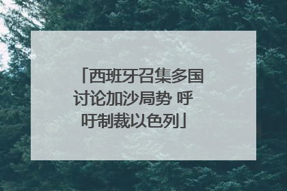 西班牙召集多国讨论加沙局势 呼吁制裁以色列