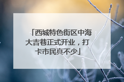 西城特色街区中海大吉巷正式开业，打卡市民真不少