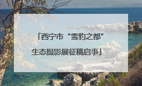 西宁市“雪豹之都”生态摄影展征稿启事