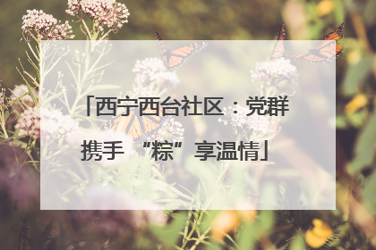 西宁西台社区：党群携手 “粽”享温情