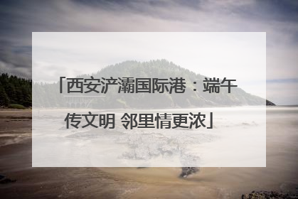 西安浐灞国际港：端午传文明 邻里情更浓