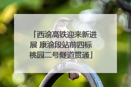 西渝高铁迎来新进展 康渝段站前四标桃园二号隧道贯通