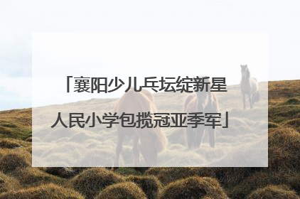 襄阳少儿乓坛绽新星 人民小学包揽冠亚季军
