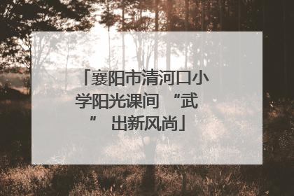 襄阳市清河口小学阳光课间 “武” 出新风尚