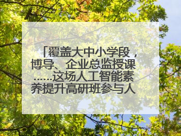 覆盖大中小学段，博导、企业总监授课……这场人工智能素养提升高研班参与人次达30万