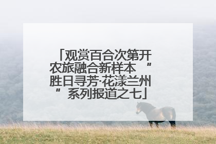 观赏百合次第开 农旅融合新样本 “胜日寻芳·花漾兰州”系列报道之七