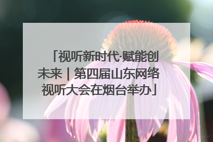 视听新时代·赋能创未来｜第四届山东网络视听大会在烟台举办