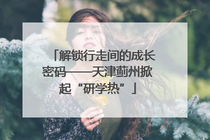 解锁行走间的成长密码——天津蓟州掀起“研学热”