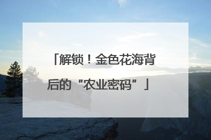 解锁！金色花海背后的“农业密码”