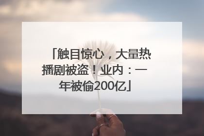 触目惊心，大量热播剧被盗！业内：一年被偷200亿